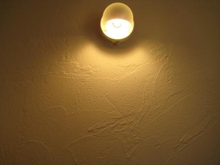 IMG_0303 - コピー