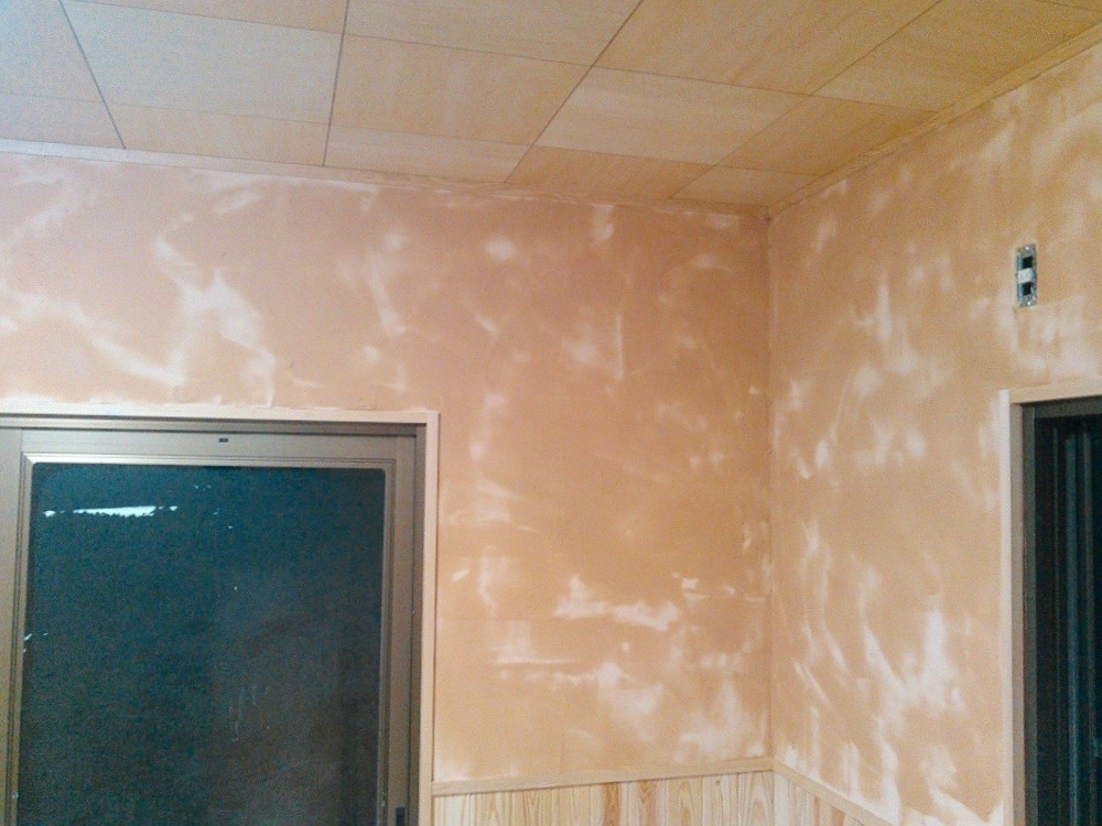 IMG_20160406_091220 (1)