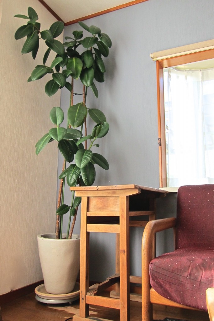 IMG_6842 のコピー