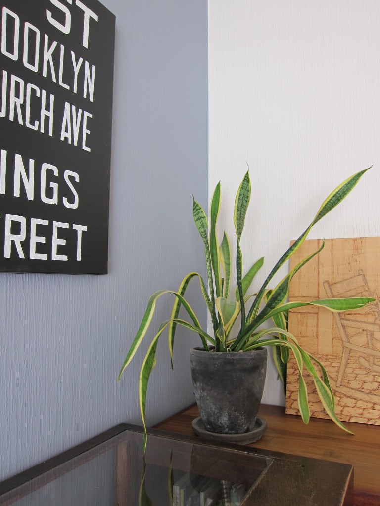 IMG_6863 のコピー