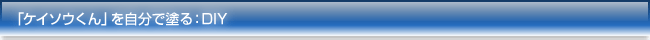 「ケイソウくん」を自分で塗る:DIY