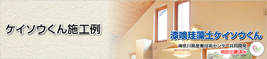 ケイソウくん施工例