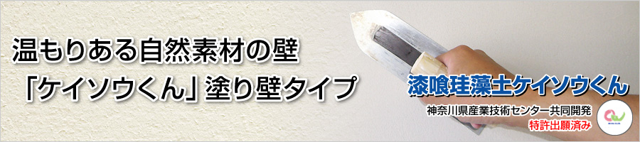 �����肠�鎩�R�f�ނ̕ǁE�E�E�u�P�C�\�E����v�h��ǃ^�C�v